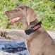 Ошейник OneTigris K9 Dog Collar 08 с металлической пряжкой 2000000141275 фото 10