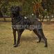 Шлея-жилет OneTigris Gladiator Support Dog Harness для собак 2000000141251 фото 5