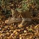 Зимові черевики Belleville C795 200g Insulated Waterproof Boot 2000000151601 фото 12