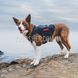 Шлея-жилет OneTigris Aire Mesh Dog Harness для собак 2000000160924 фото 7