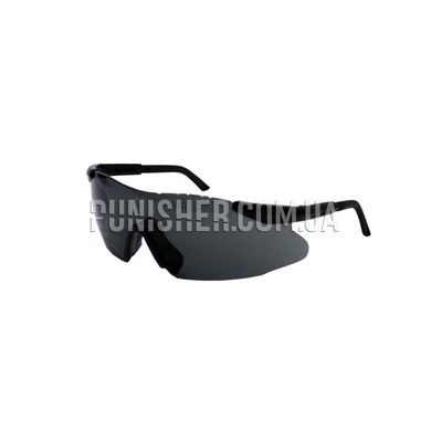 ESS ICE Ballistic Eyewear with Smoke Lens (Used), Black, Smoky, Goggles