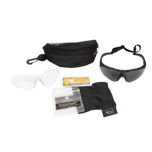 Revision Stingerhawk U.S. Military Kit, Black, Transparent, Smoky, Goggles, Regular