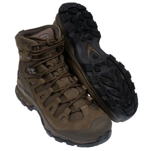 Тактичні черевики Salomon Quest 4D GTX Forces 2 EN, Earth, 9 R (US), Демісезон