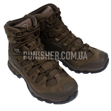 Тактичні черевики Salomon Quest 4D GTX Forces 2 EN, Earth, 9 R (US), Демісезон