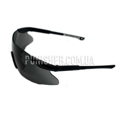 ESS ICE Eyeglasses with Smoke Lens, Black, Smoky, Goggles