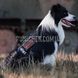 OneTigris Comet’s Tail Dog Harness 2000000161372 photo 6