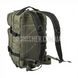 Рюкзак Mil-Tec Assault Pack Small 2000000019864 фото 2