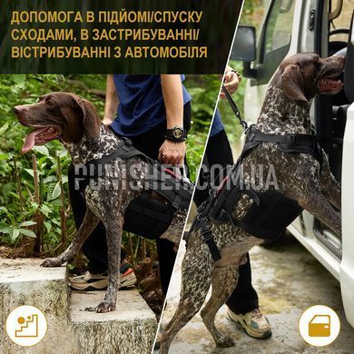 Шлея-підтримка OneTigris Invictus Support Harness для собак, Чорний