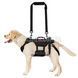 Шлея-підтримка OneTigris Invictus Support Harness для собак 2000000161358 фото 7