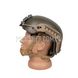 Zebra Armor helmet visualized for Ops-Core 2000000063782 photo 5