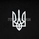 Футболка Punisher “Ukrainian Sun Is Rising” 2000000124735 фото 7