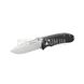 Ganzo D704 (D2 Steel) Folding Knife 2000000115580 photo 3