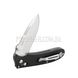 Ganzo D704 (D2 Steel) Folding Knife 2000000115580 photo 2