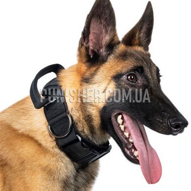 Ошейник OneTigris K9 Dog Collar 08 с металлической пряжкой, Черный, Medium