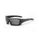 Комплект балістичних окулярів ESS Rollbar APEL 7700000024497 фото 1