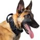 OneTigris Metal Buckled K9 Dog Collar 08 2000000141275 photo 2