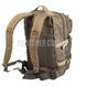 Mil-Tec Assault Pack Large Backpack 2000000019888 photo 2