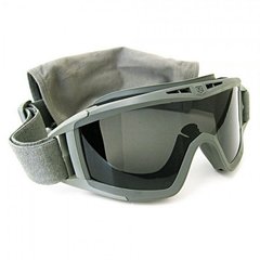 Revision Desert Locust Extreme Weather Goggle, Foliage Green, Transparent, Mask