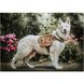 OneTigris K9 Hoppy Camper Dog Pack 2.0 2000000141244 photo 6