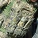 Punisher Blis Plate Carrier 2000000120508 photo 27