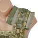 Punisher Blis Plate Carrier 2000000120508 photo 6