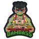 BS Raphael PVC Patch