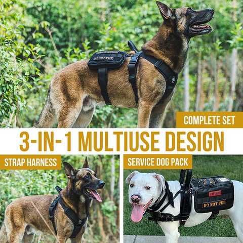 Punisher sale dog harness