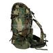 Large Field Pack Internal Frame with Combat Patrol Pack (Used) 2000000078588 photo 3