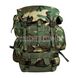 Large Field Pack Internal Frame with Combat Patrol Pack (Used) 2000000078588 photo 1
