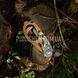 Ножиці-мультитул Leatherman Raptor Rescue 2000000044385 фото 10
