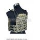 Flyye JPC VEST Plate Carrier (Used) 7700000023049 photo 3