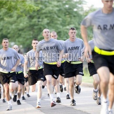Футболка для занятий спортом US ARMY IPFU PT T-Shirt, Серый, Small