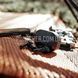 Активные наушники-беруши Walker's Disrupter Bluetooth Ear Buds 2000000209784 фото 6