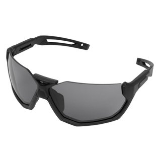 Балістичні окуляри Revision SlingShot з димчастою лінзою, Чорний, Димчастий, Окуляри