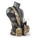 Emerson D3CR Tactical Chest Rig 2000000084794 photo 7