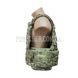 Soldier Plate Carrier System SPCS (Used) 2000000028644 photo 2