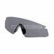 Revision Sawfly Lens