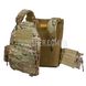 Плитоноска Emerson BlueLabel LAVC Assault Plate Carrier with ROC 2000000104843 фото 6