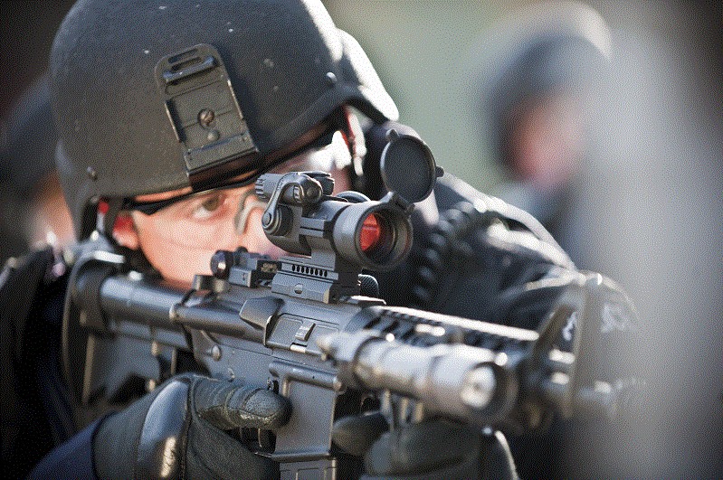 Aimpoint PRO