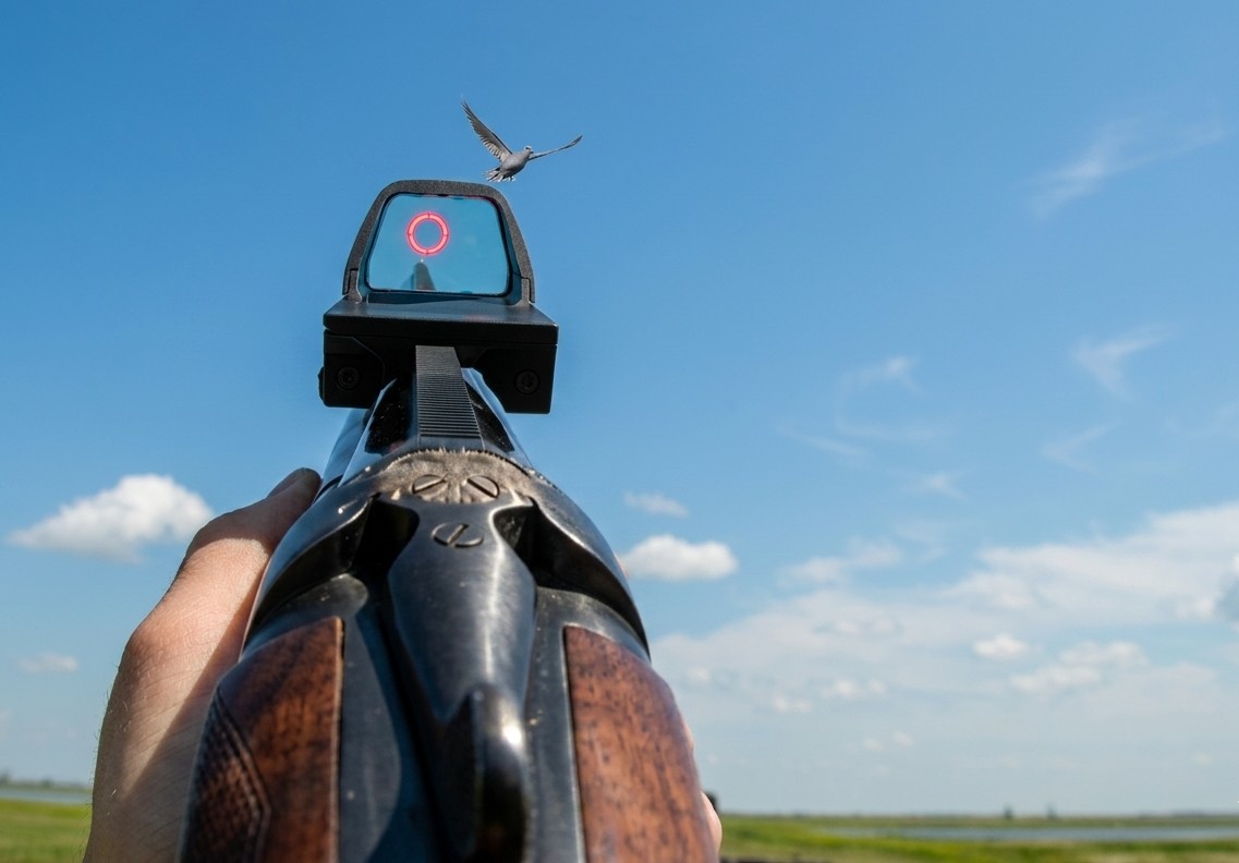 A collimator sight while bird hunting