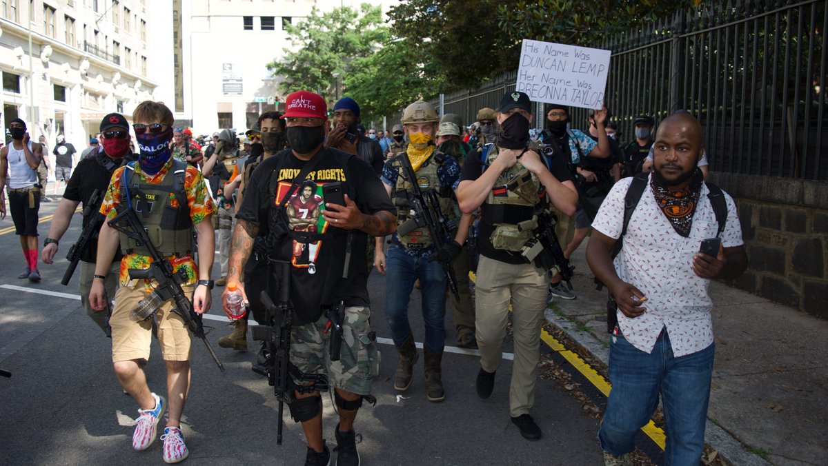 Rally of the Black Panthers  in Stone Mountain on July 4, 2020